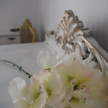 Casa Cinzia لاس بالماس دي غران كاناريا